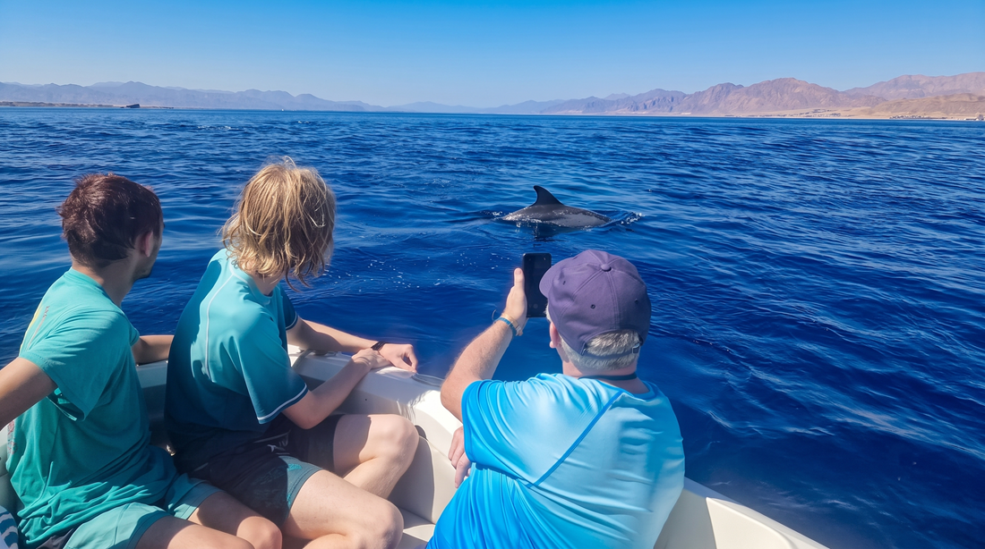 Private Speed Boat Snorkeling Trip — photo 8