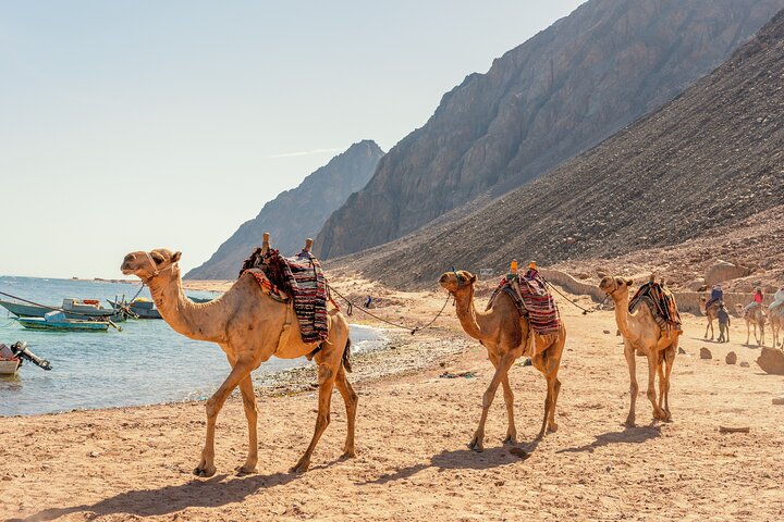 Colored Canyon Jeep Tour with Blue Hole & Dahab — photo 6