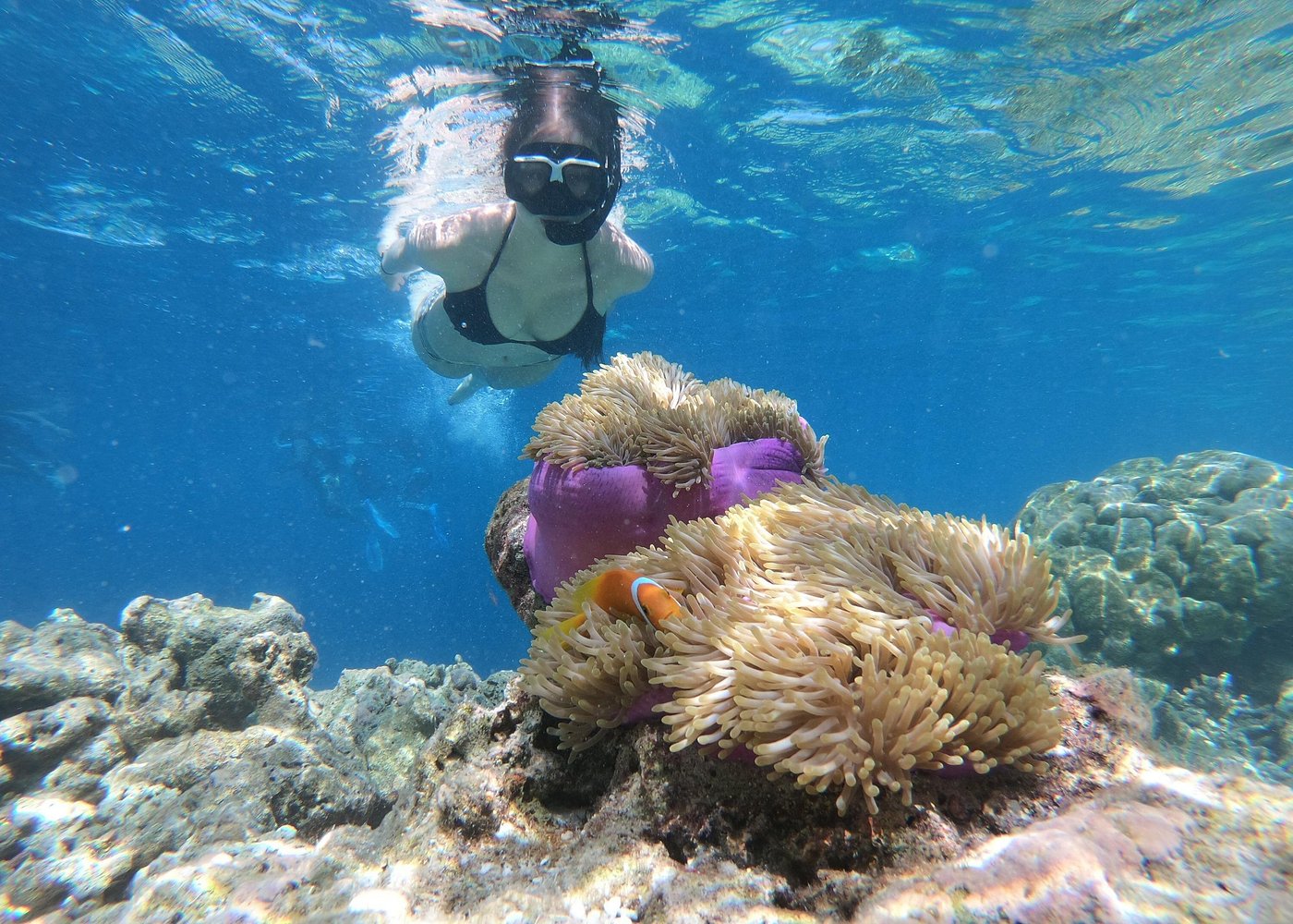 Ras Mohamed & White Island Snorkeling, Diving & Lunch — photo 3
