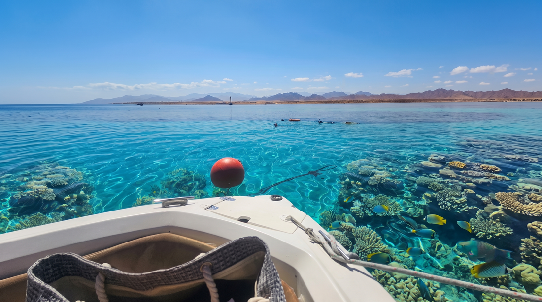 Private Speed Boat Snorkeling Trip — photo 7