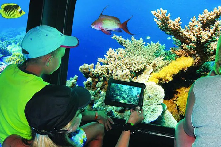 Semi Submarine Trip in Sharm El Sheikh with Transfer — photo 3