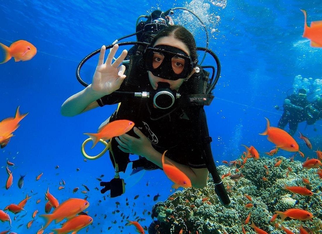 Ras Mohamed & White Island Snorkeling, Diving & Lunch — photo 4