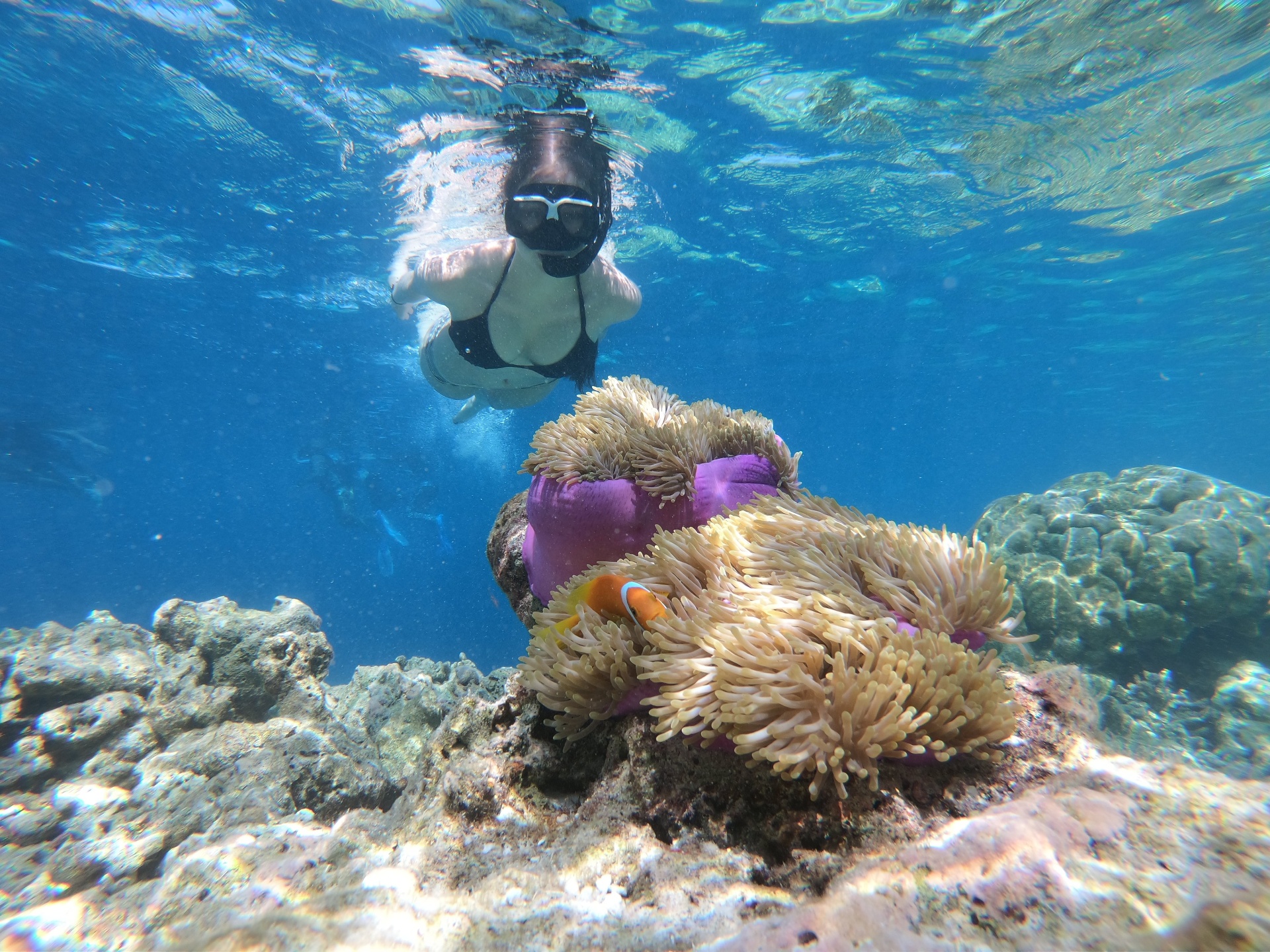 VIP Ras Mohamed, White Island Snorkeling & Lunch (Sina Dream) — photo 6
