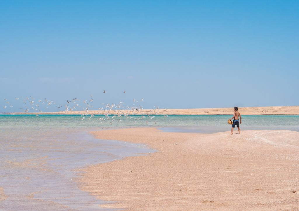 VIP Ras Mohamed, White Island Snorkeling & Lunch (Sina Dream) — photo 9