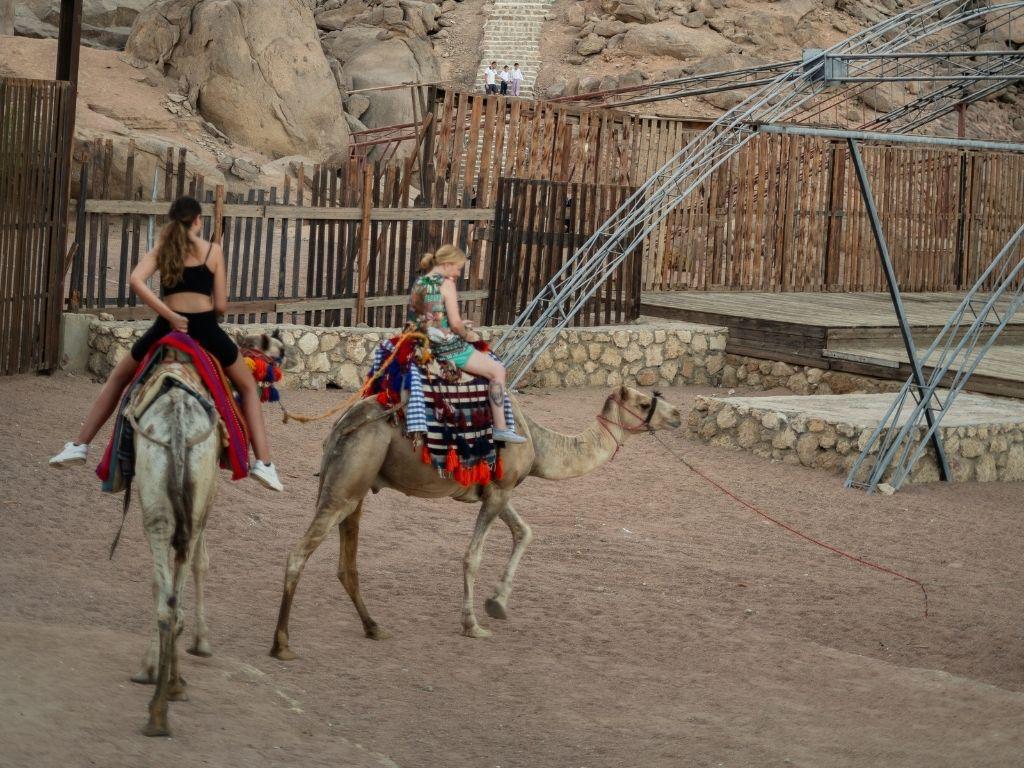 VIP Traditional bedouin dinner and show — photo 3