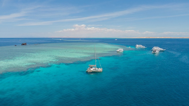 Elvira Catamaran — Private Charter in Sharm El Sheikh — photo 5