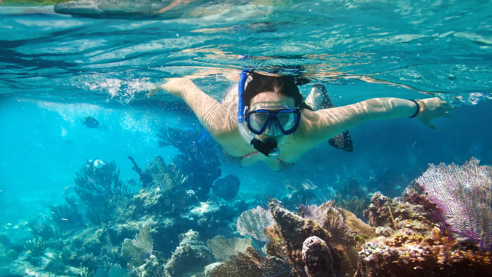 Snorkeling Trips in Sharm El Sheikh: Explore the Best of Red Sea Adventure